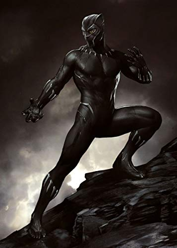 Displate – Metallposter - Magnet-Montage - Marvel - Black Panther - Black Panther - Größe M - 32x45cm