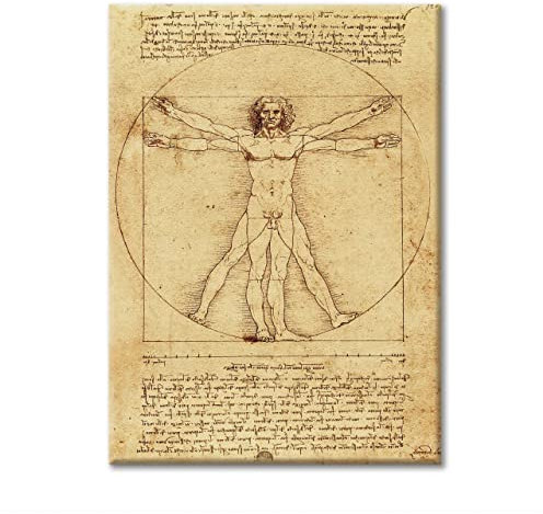 LABORATORIO 102 Bild auf Leinwand Leonardo Da Vinci Herren Vitruvano Menschlicher Körper - Künstlerischer Druck mit Rahmen Classic 2 cm Fichte - modernes Bild zum Aufhängen (40 x 30 cm)