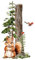 GRAZDesign Wandtattoo Eichhörnchen im Wald, Waldtiere Wandsticker für Babyzimmer und Kinderzimmer, Wandeko für Jungen und Mädchen - 53x30cm