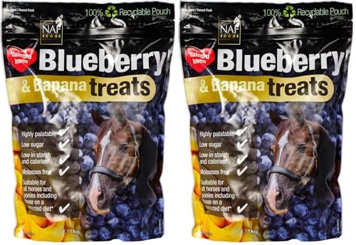 NAF Blueberry and Banana Treats 1 kg (Pack of 2)