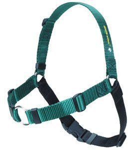 Softouch Sense ation Hundegeschirr, kein Ziehen, Größe L, Grün