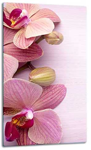 TMK | Placa protectora para vitrocerámica, 30 x 52 cm, de cristal, de una pieza, eléctrica, inducción, protección contra salpicaduras, placa de cristal decorativa, tabla de cortar orquídea