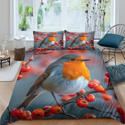GTDKSUEVG Robin Bettbezug Set Bettwäsche Set Kinderbettwäsche-Set Reißverschluss Mit Kissenbezug Betten Set Für Jugendliche Kinder Schlafzimmer Double（200x200cm）