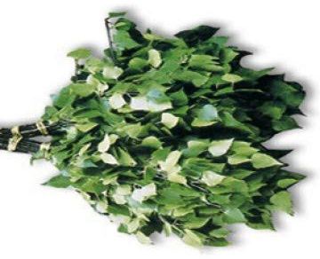 Quast Finnischer Birkenquast Vihta
