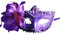 Jamron Damen Elegant Kostüm Maske mit Strass/Feder für Masquerade Party Abschlussball Halloween Karneval Violett SN070310