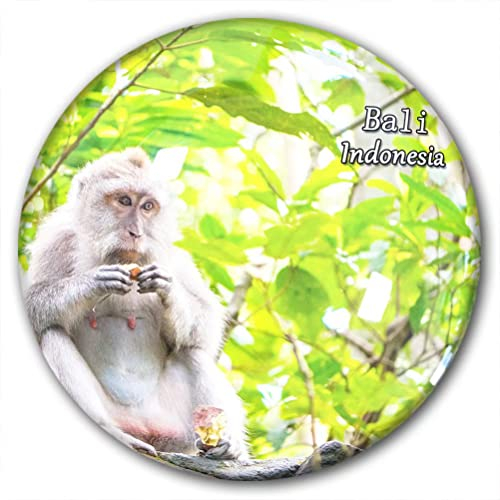 Indonesien Bali Kühlschrankmagnet Kühlschrank-Aufkleber Dekorativer Magnet Reise-Souvenir Kristallglas