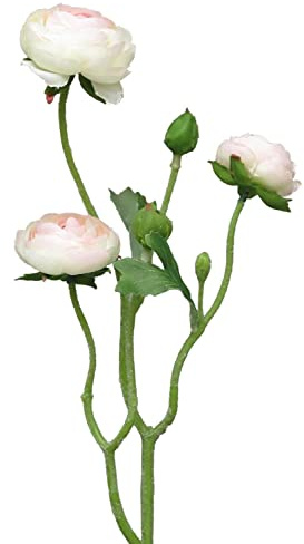 artplants.de Kunstblumen Zweig Ranunkel JIXIANG, weiß-rosa, 50 cm | Künstliche Blume