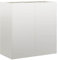 vidaXL Jardinière 80x40x80 cm Acier Inoxydable, Pot de Fleurs, Support de Plantes, lit surélevé, Support de jardinière, bac à Plantes