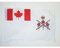 AZ FLAG - Drapeau Canada Armée canadienne - 45x30 cm - Pavillon De Guerre Canadien 100% Polyester Avec Deux Cordelettes - 20g
