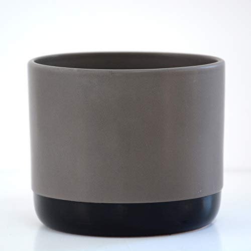 Thompson & Morgan Two-Tone Grey & Black Medium Ceramic Plant Flower Pot Round Modern Stylish Simple Design for Indoor House Plants Succulents 1 x Med Grey & Black Ceramic Pot