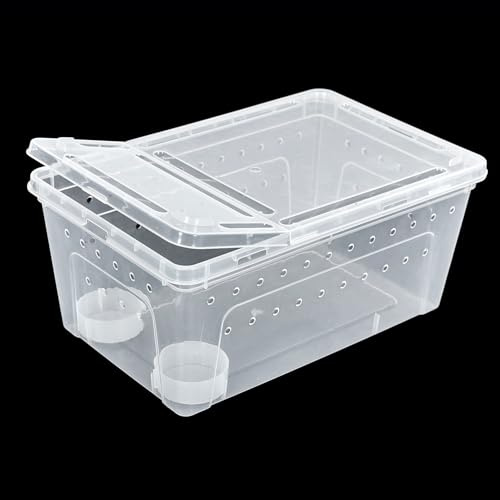 ReptiZoo Kunststoffterrarium inkl. Kleiner Wasserschale - Large (RT2016L)