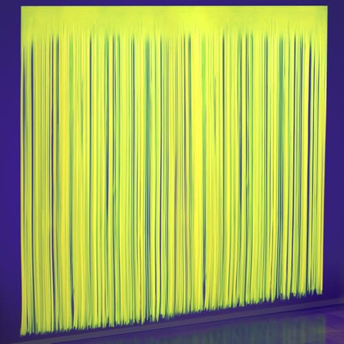 Colorful Fluorescent Foil Fringe Curtain, 3.3 X 6.6 Ft Glow in The Dark Party Supplies Party Decor Steamers for Neon Theme Birthday Decorations Photo Backdrop
