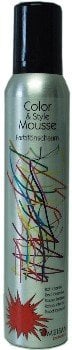 Omeisan Color & Style Mousse Dunkelblond, Farbschaum 200ml