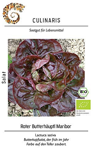 Culinaris 043 Wintersalat Roter Butterhäuptl Maribor (Bio-Wintersalatsamen)