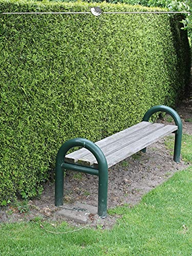 Thuja Brabant 120-140 cm IM TOPF. 7x Pflanzen. Thuja Hecke = Sichtschutz Hecke