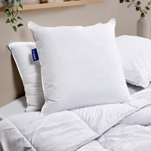 Bleu Câlin Lot de 2 Oreillers Confort Ferme 'Alaska', Superbe Gonflant, Enveloppe 100% coton percale, Blanc, 65 x 65 cm Forme Carré