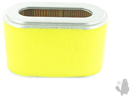 Greenstar 5378 Filtre à air pour Honda