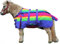 CHALLENGER 51968B Miniatur-Entwöhnungs-Esel-Pony-/Fohlen-Winterdecke, Regenbogen, 132,1 cm, 1200D