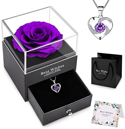 NEWUPZSI Rosa Eterna con Collana Viola Regali San Valentino Regalo per Lui lei Mamma Nonna Amica Coppia Fiori Stabilizzati Rosa Conservato Mai Appassito, Regali Natale Originali 2022 per lei