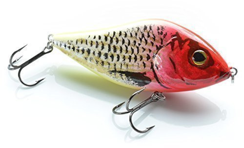 ELBFANG Jerkbait 50g Wobbler Hecht Pike Zander Kunstköder Angeln