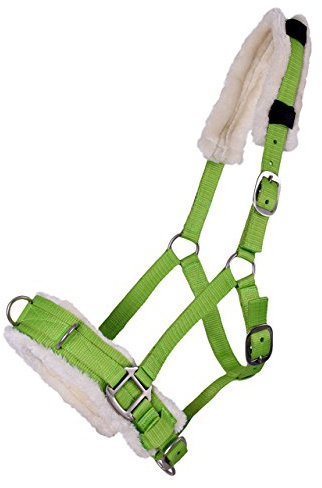 Kappzaum Halfter Nylonhalfter Longierhalfter QHP 4 Farben und 4 Grössen Größe Full Warmblut, Farbe apfelgrün