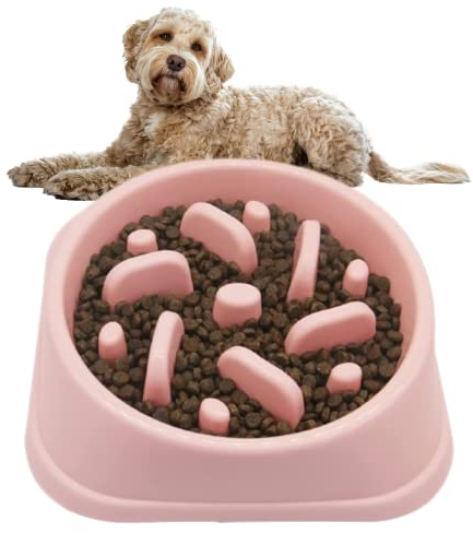 PTROUT Plastic Slow Feeder Dog Bowl, dog bowls Prevent Choking and Overeating for Medium & Small Dogs Puzzle Pet Healthy Feeding Bowls with Non-Slip Rubber Feet