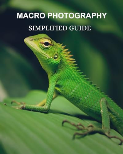 macro photography for beginners: A Beginner's Journey into Macro Photography