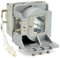 Aimple TH670 Lampe de Rechange pour BenQ TH670 5J.JEL05.001 Vidéoprojecteurs