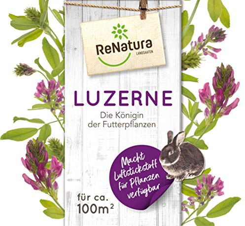 Greenfield ReNatura Luzerne Königin der Futterpflanzen mehrjährig 0,5 kg für ca. 100 m²