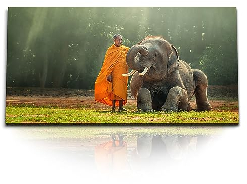 Paul Sinus Kunstdruck Bilder 120x60cm Asiatischer Elefant Thailand Mönch Sonnenstrahlen Natur