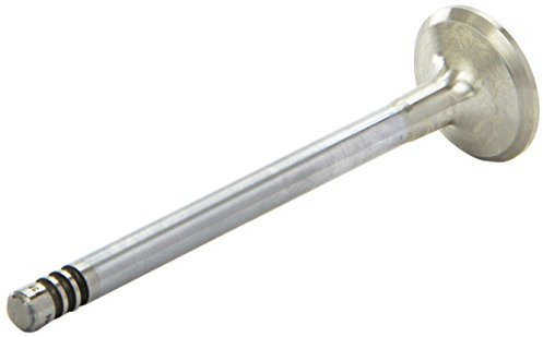 AE V94044 Auslaßventil