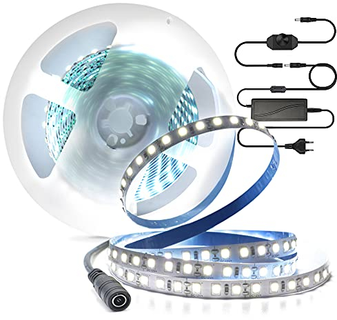 Arotelicht Striscia LED 5 m Light Strip 2835 SMD 600 LED Nastri Led 6000K bianco freddo con dimmer, catena luminosa autoadesiva con alimentazione 12 V per cucina, armadio, festa, decorazione