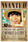 Grupo Erik Poster One Piece Netflix Wanted Monkey D. Luffy Kunstdruck - Deko Wohnzimmer oder Deko Schlafzimmer - Deko Zimmer - Größe 61 x 91 - Offizielle Lizenz