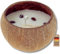 Kerze in echter Kokosnuss-Schale • Kokosnuss-Kerze mit Sojawachs • Duftkerze French Vanilla • 45h Brenndauer • Kerze für jede Jahreszeit (French Vanilla)