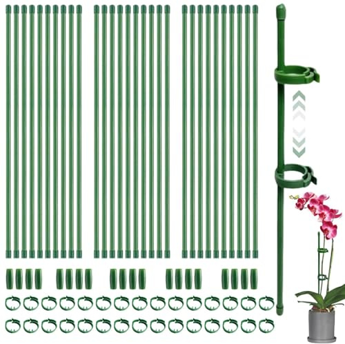 20 Stück Pflanzenstütze, Orchideen Stäbe, blumenhalter, Pflanzen Stabilisieren Stab, mit Karabinern Ausgestattet, Verlängerungsrohren, für Orchideen, Pfingstrosen, Kletterpflanzen (20 pcs, 30cm+40cm)