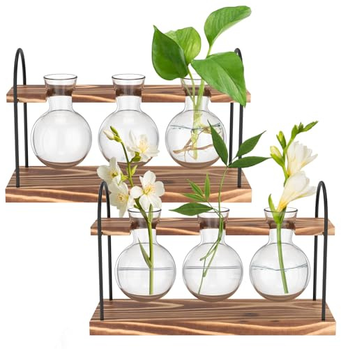 Propagation Station Lot de 2 jardinières multifonctions en verre avec étagère à plantes hydroponique pour terrarium Décoration de plantes pour enracinement fleurs coupées hydroponique lierre
