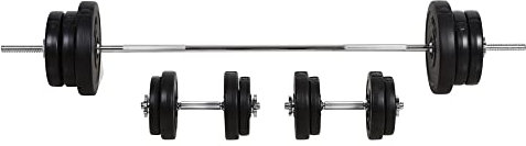 HOMCOM Set Hanteln und Scheiben 65kg mit 2 Kurzhantelgewichten, Gym Hanteln mit 14 Stahl- und Kunststoffscheiben