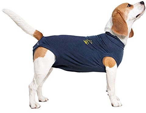 MPS Medical Pet Shirt, Hund, Blau, für kleine+ Hunde