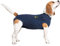 MPS Medical Pet Shirt, Hund, Blau, für kleine+ Hunde