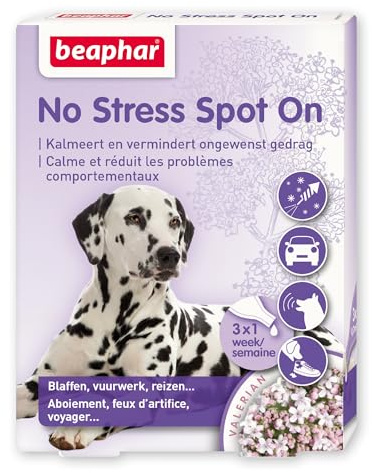 Beaphar 13902 No Stress Spot On Dog 3 Pipetten - Hilft bei stressigen Situationen wie Feuerwerk oder Gewitter - Ohne zu benommen - Mit natürlichen Kräutern - Jede Pipette ist eine Woche lang wirksam
