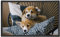 Viquel - Schreibtischunterlage für Hunde, dekorativ, Schutz für den Schreibtisch für Kinder oder Erwachsene, 59,5 x 36,2 cm, Schwarz