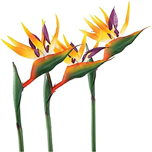 HAOSHICS 3 fiori artificiali per uccelli celesti, finti uccelli del paradiso Strelitzia, piante in finta seta, per casa, ufficio, matrimonio, decorazione Centerpeice (grande, giallo)