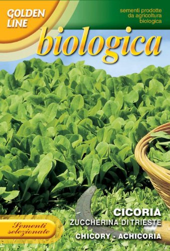 Franchi Seeds of Italy Organic Range Chicory Zuccherina Trieste Seeds