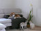 Artur Soja Leo Hundebett Couch M 70 x 90cm SCHWARZ Sesselschutz Sofaschutz COUCHPROTECT