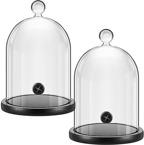 Uiifan 2 Stück Smoking Cloche Smoking Gun Zubehör Glaskuppel Cloche Abdeckung Smoking Infuser Cocktail Smoker Dome mit Holzsockel für Whisky Lebensmittel Getränke, 25 x 15 cm