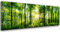 Feeby Impression sur Toile Intissé Arbres Nature 150x60 cm Image Moderne Tableau Déco Mural Salle De Séjour Du Soleil Dans Une Forêt vert