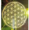 Blume des Lebens 3 cm gold, Aufkleber