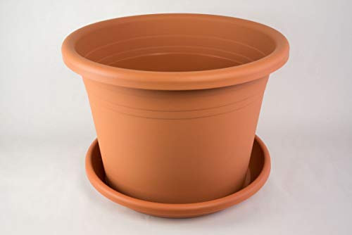 Fuchs Versand 24/7 GmbH Pot de fleurs cylindrique avec soucoupe en différentes couleurs et tailles, couleur : terre cuite, diamètre : 50 cm