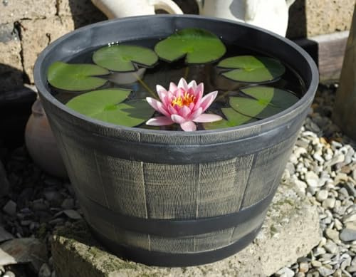 GartenGees Pflanzgefäß,Pflanzwanne,Miniteich,Kunststoff,in Holzoptik,in 3 Größen 30-50 cm (50 cm)