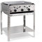 Gasbräter 11kW 3-flammiger Edelstahl-Brenner Standmodell mit Stahlpfanne Gasgrill Gastrobräter Profigrill Verein